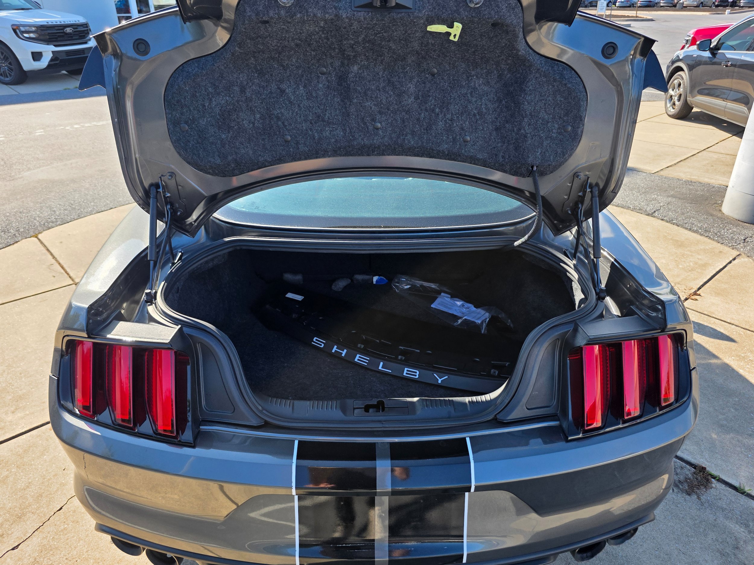 Certified 2018 Ford Mustang Shelby GT350 w/ Convenience Package RWD image 9