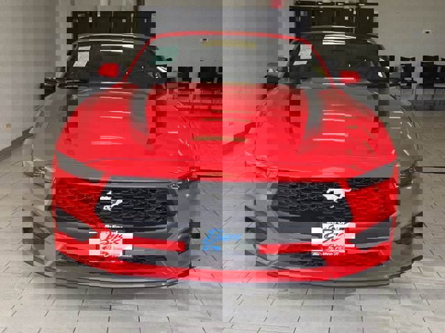 Used 2025 Ford Mustang Premium w/ Wheel & Stripe Package image 2