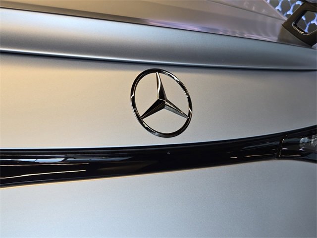 New 2025 Mercedes-Benz AMG GT 55 image 28