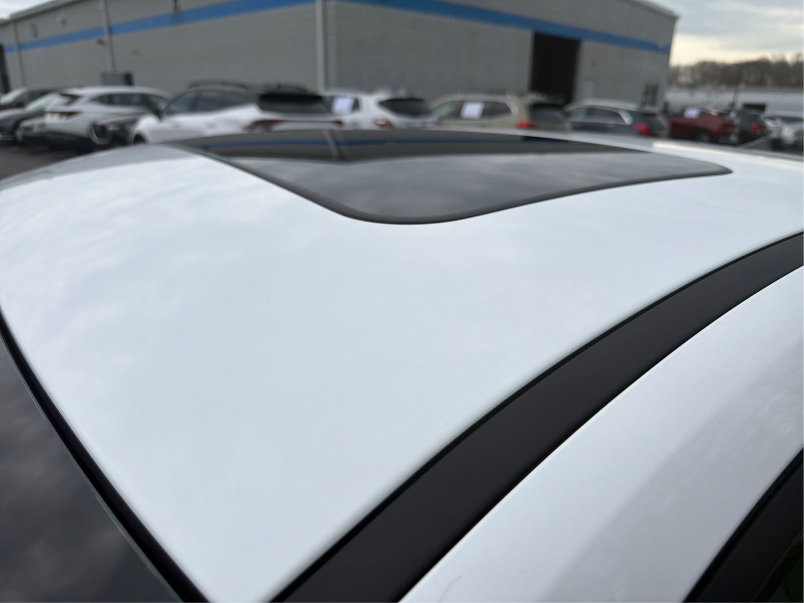 Certified 2025 Hyundai Elantra Limited image 12