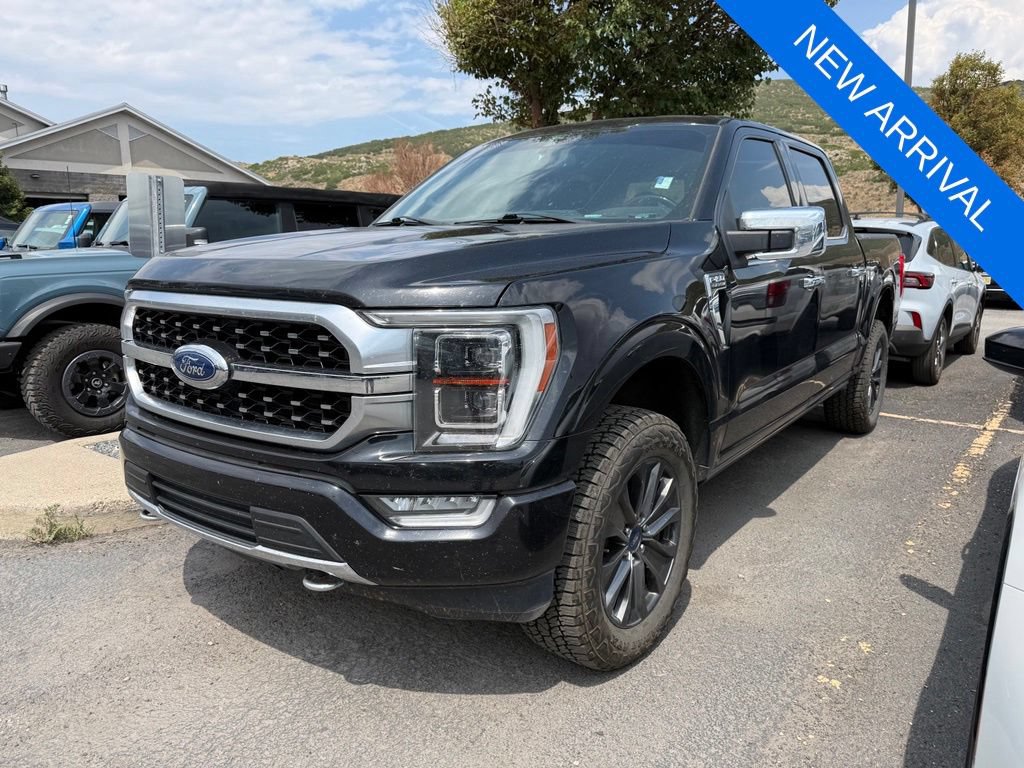 Used 2021 Ford F150 Platinum AWD/4WD image 1