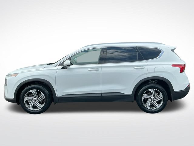 Used 2023 Hyundai Santa Fe SEL w/ Cargo Package FWD image 3