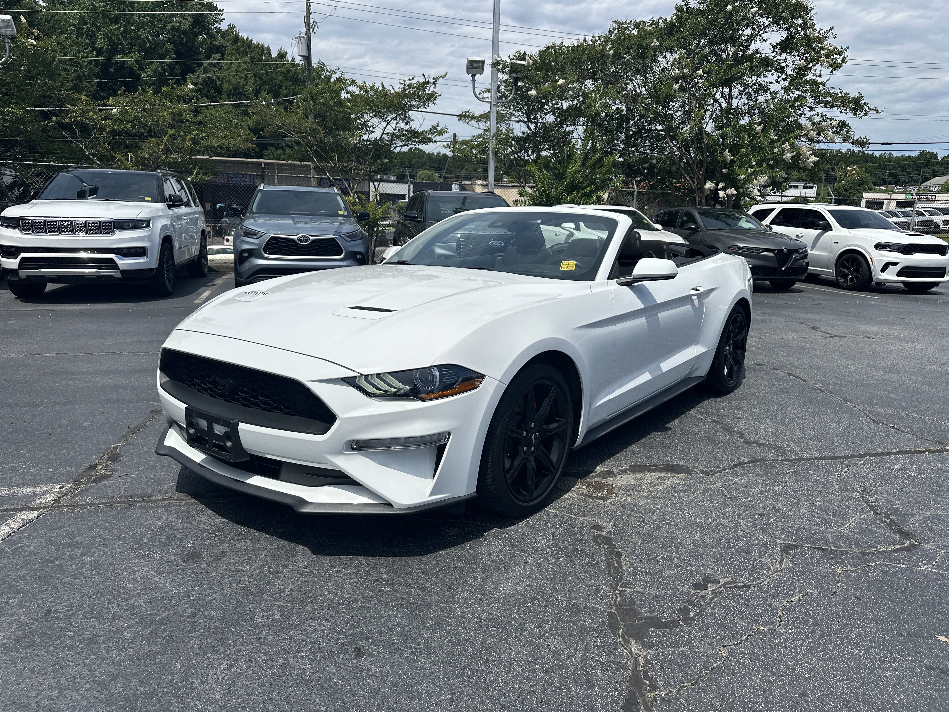 Used 2019 Ford Mustang Convertible w/ Equipment Group 101A RWD image 5