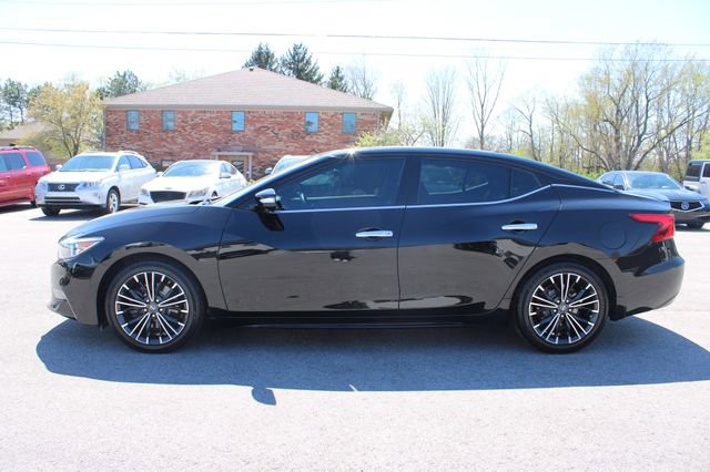 Used 2016 Nissan Maxima Platinum image 5