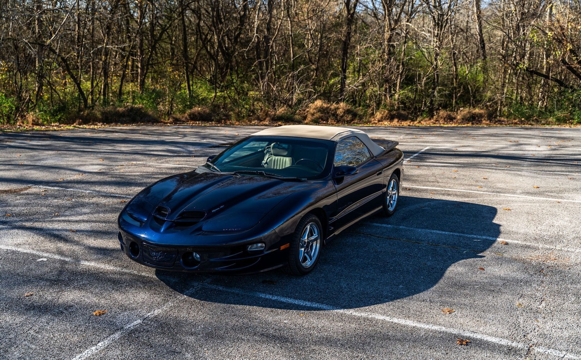 Used 2000 Pontiac Firebird Trans Am image 11