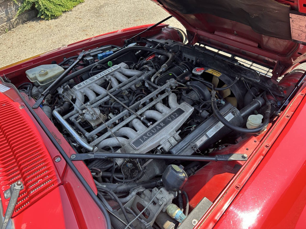 Used 1992 Jaguar XJS V12 Convertible RWD image 13