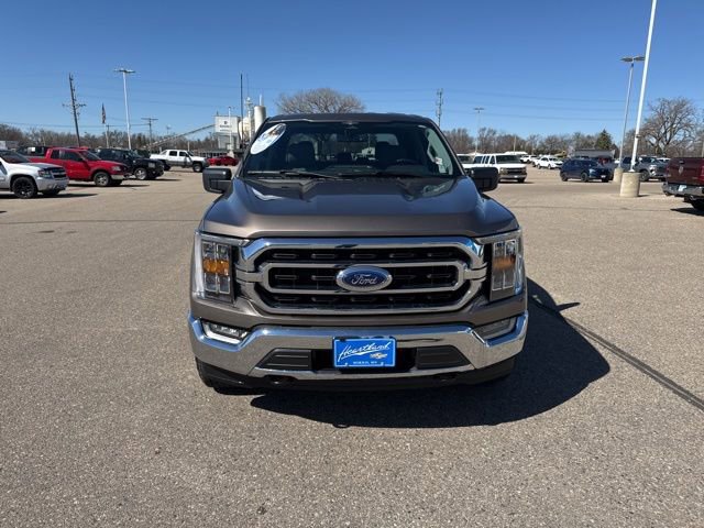 Used 2023 Ford F150 XLT w/ Equipment Group 302A High AWD/4WD image 2