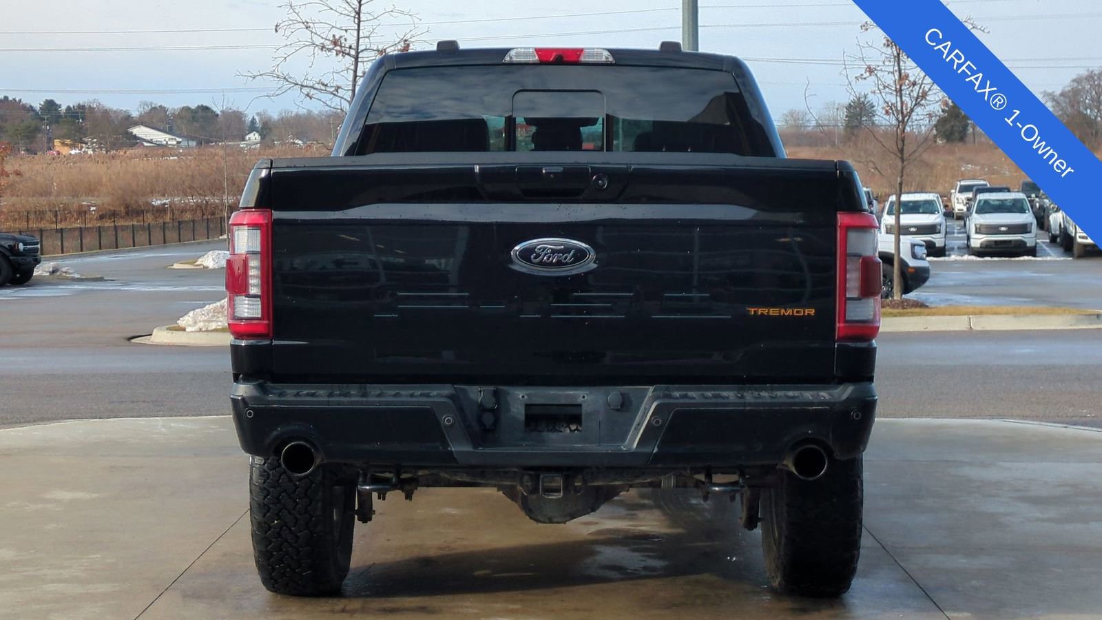 Used 2022 Ford F150 Tremor w/ Equipment Group 402A High image 5