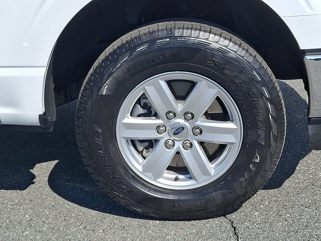 Used 2024 Ford F150 XL w/ Equipment Group 103A High image 8