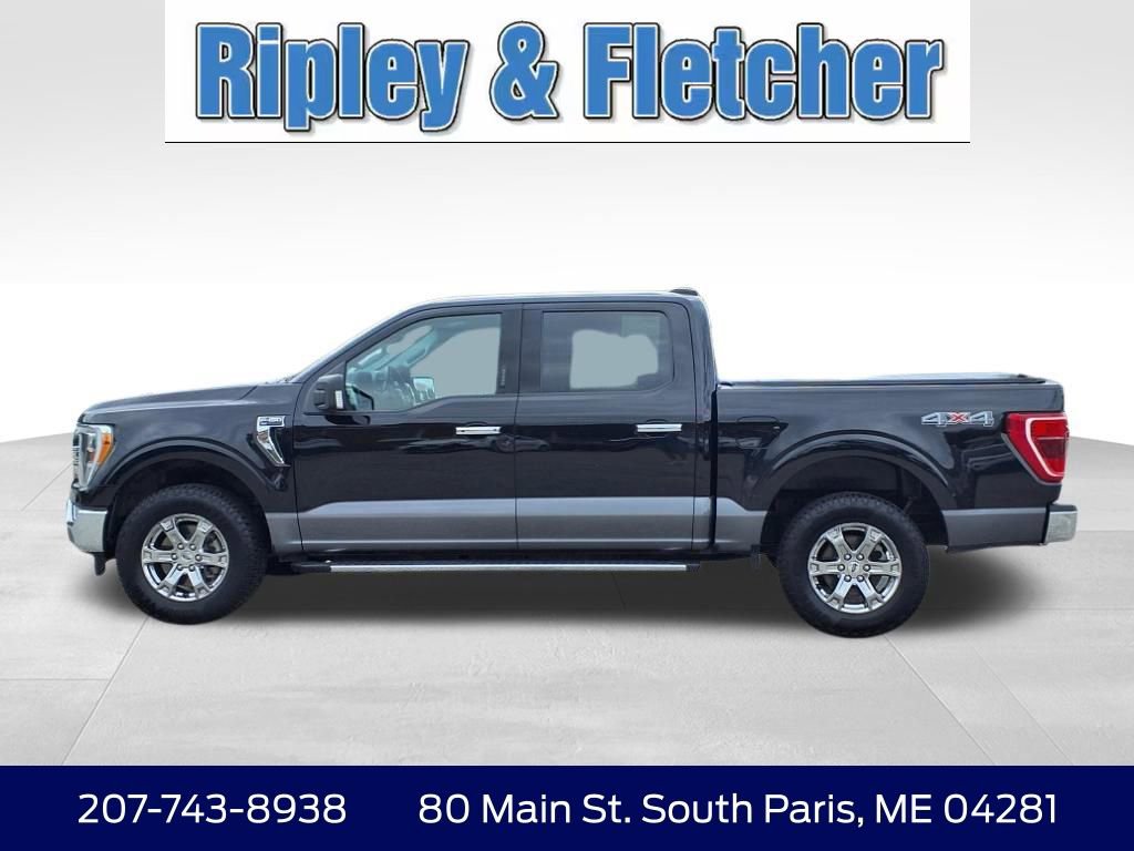 Used 2021 Ford F150 XLT w/ Equipment Group 302A High AWD/4WD image 9