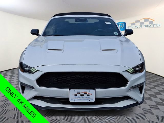 Used 2023 Ford Mustang Premium w/ Equipment Group 201A image 3