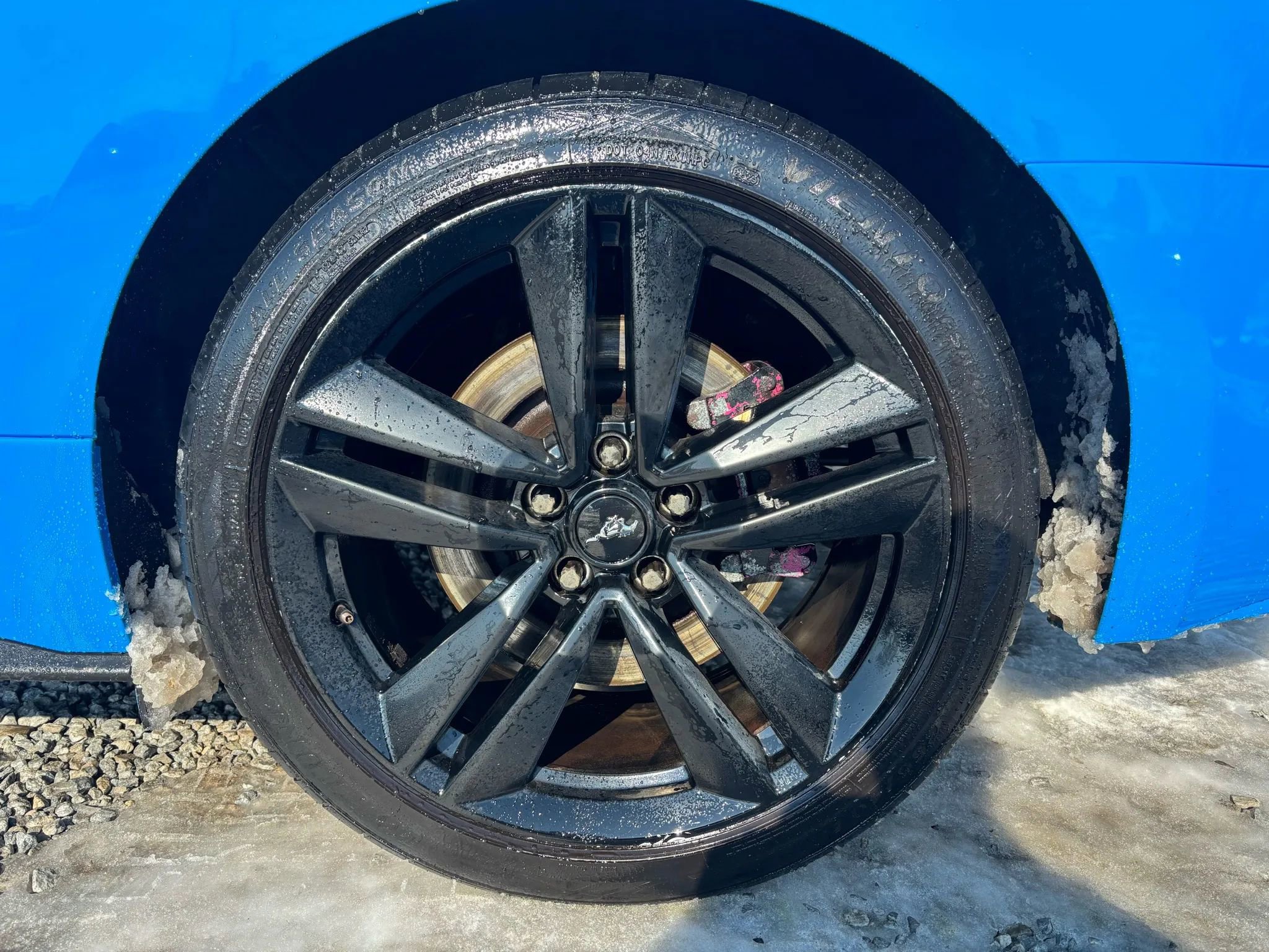 Used 2017 Ford Mustang Coupe w/ Ecoboost Performance Package image 2