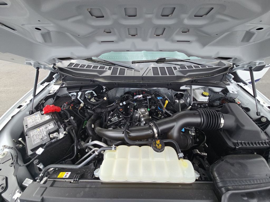 Used 2025 Ford F150 XLT w/ Equipment Group 301A Standard AWD/4WD image 29