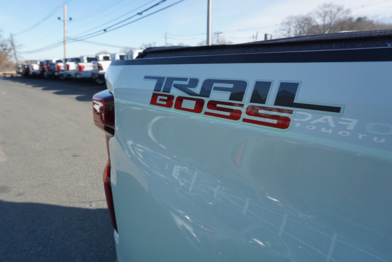 Used 2019 Chevrolet Silverado 1500 Custom Trail Boss image 7