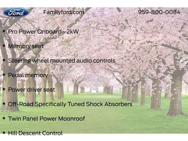 New 2026 Ford F250 Platinum image 30