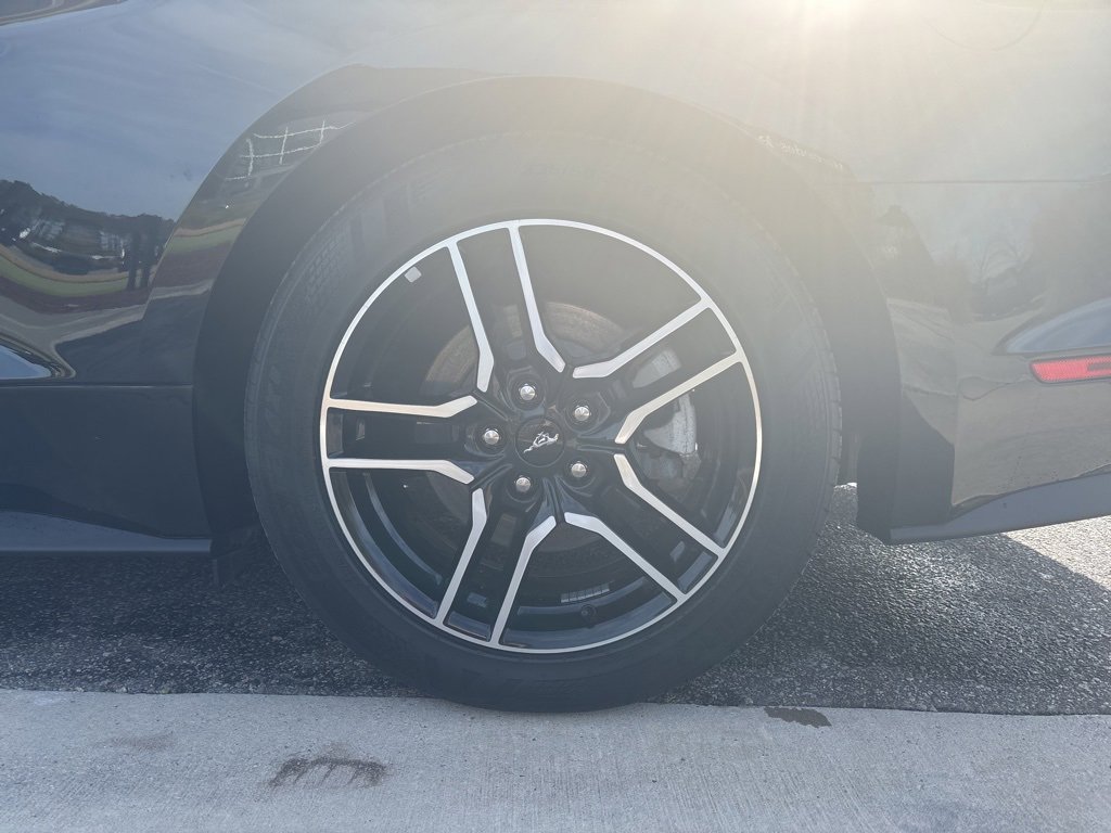 Used 2019 Ford Mustang Premium image 13