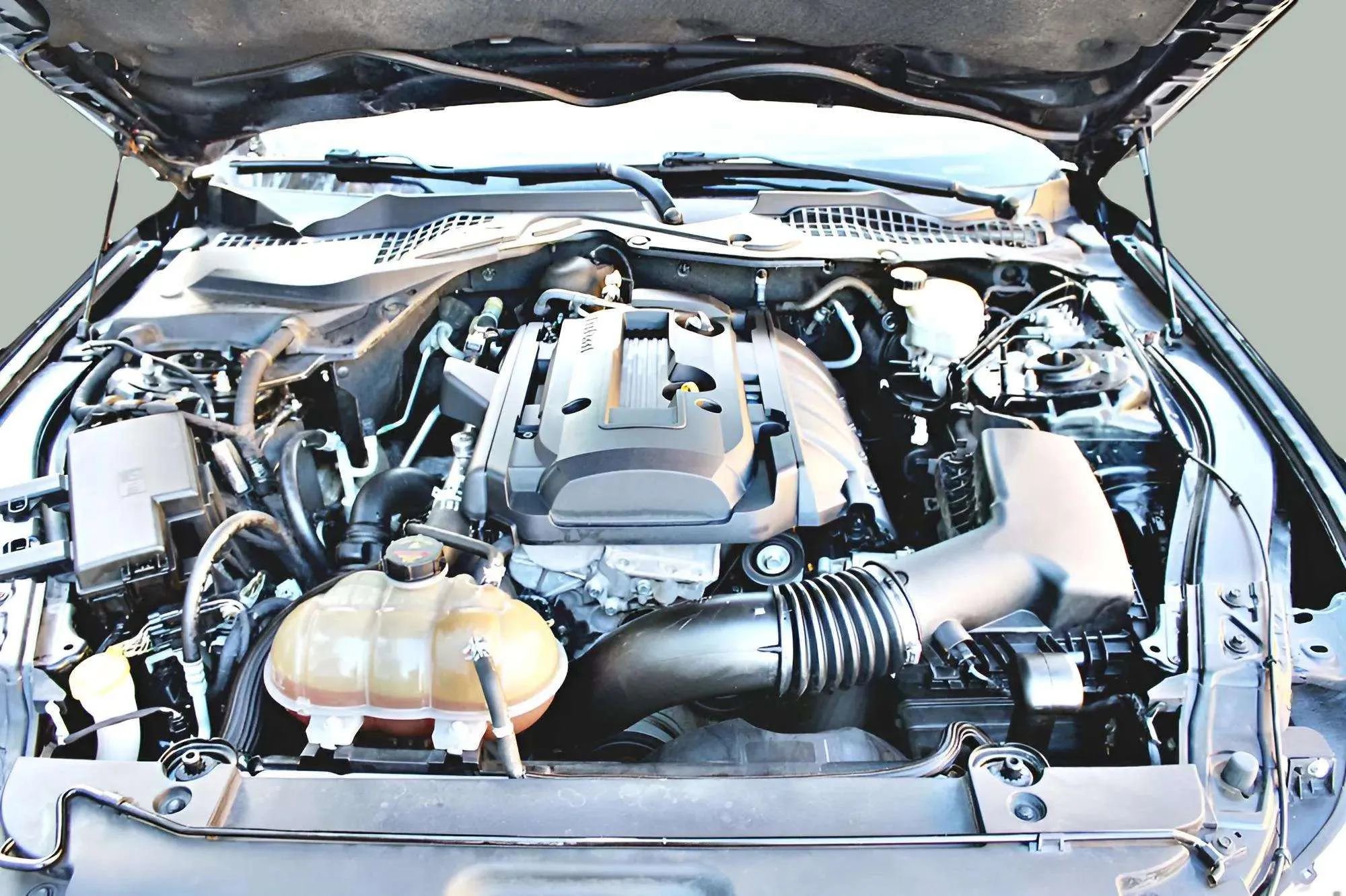 Used 2016 Ford Mustang Coupe image 28