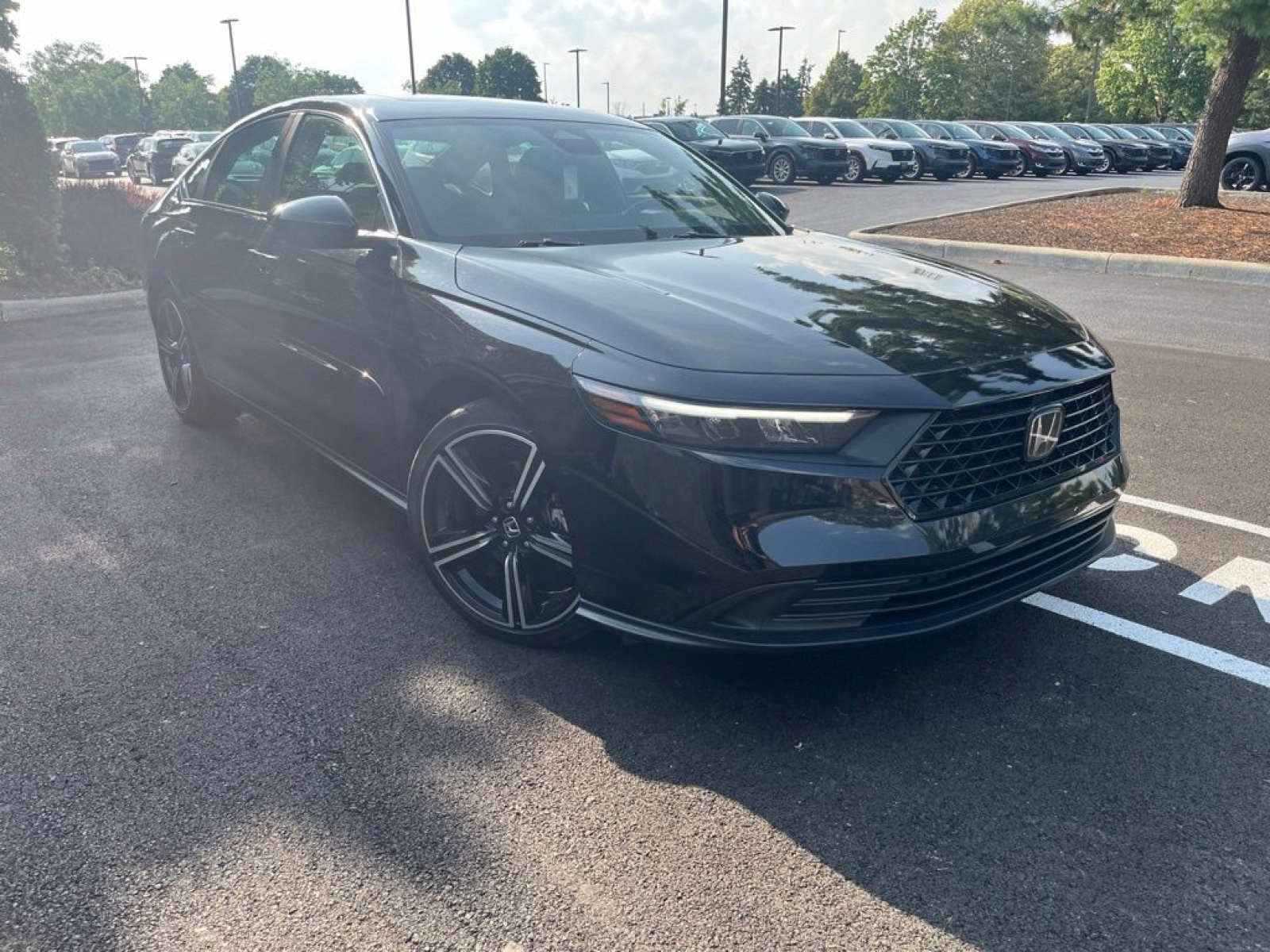 Used 2023 Honda Accord Sport image 4