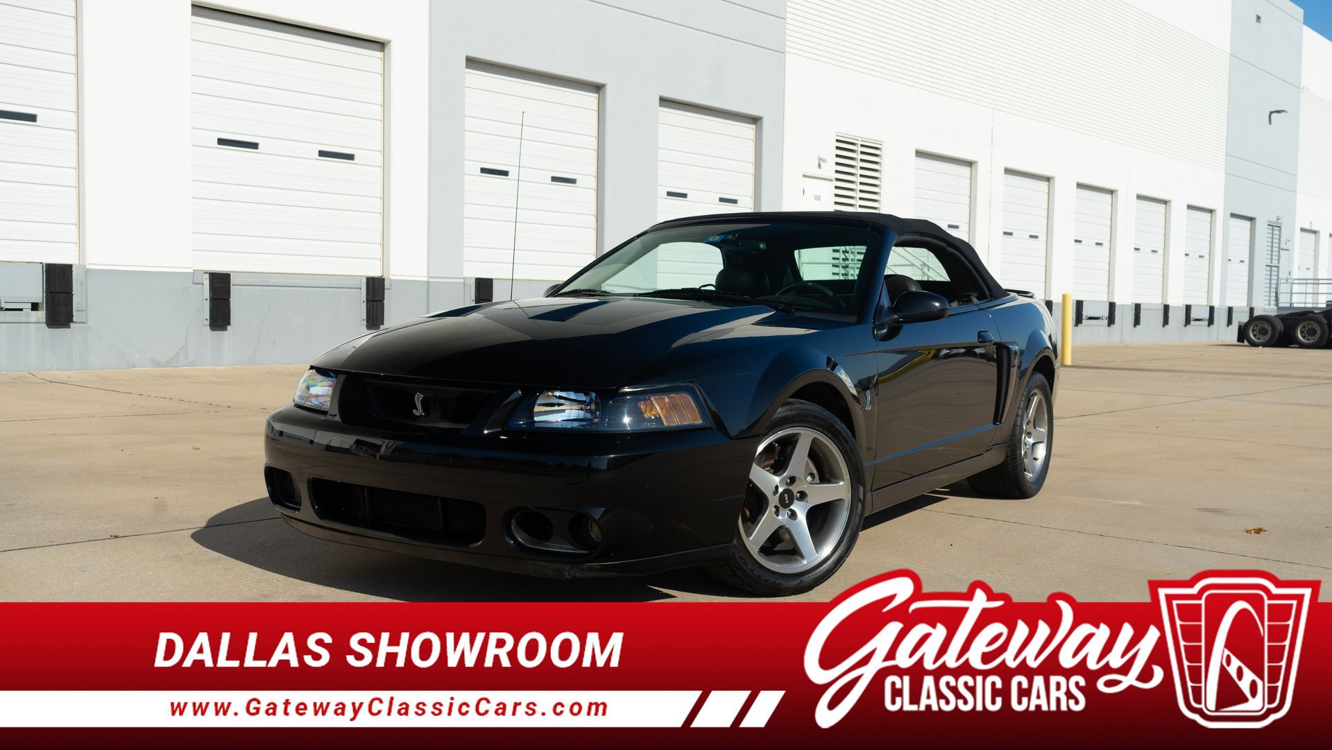 Used 2003 Ford Mustang Cobra