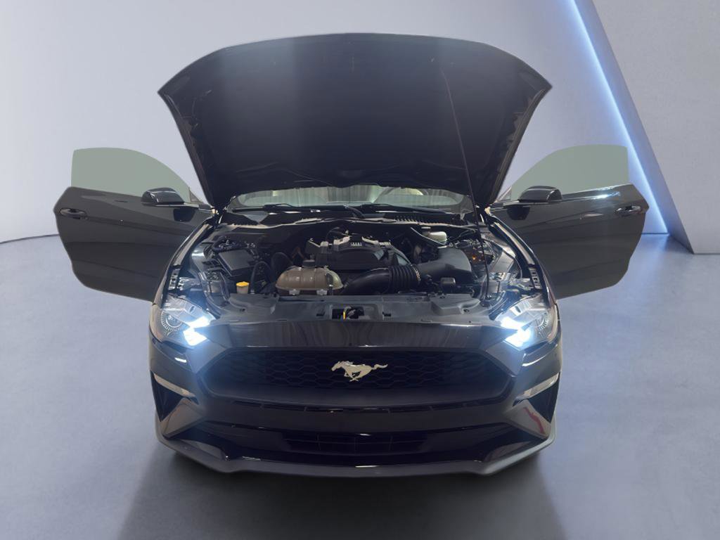 Used 2019 Ford Mustang Premium image 8