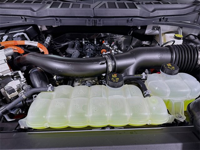 New 2025 Ford F150 XLT w/ Equipment Group 302A MID image 4