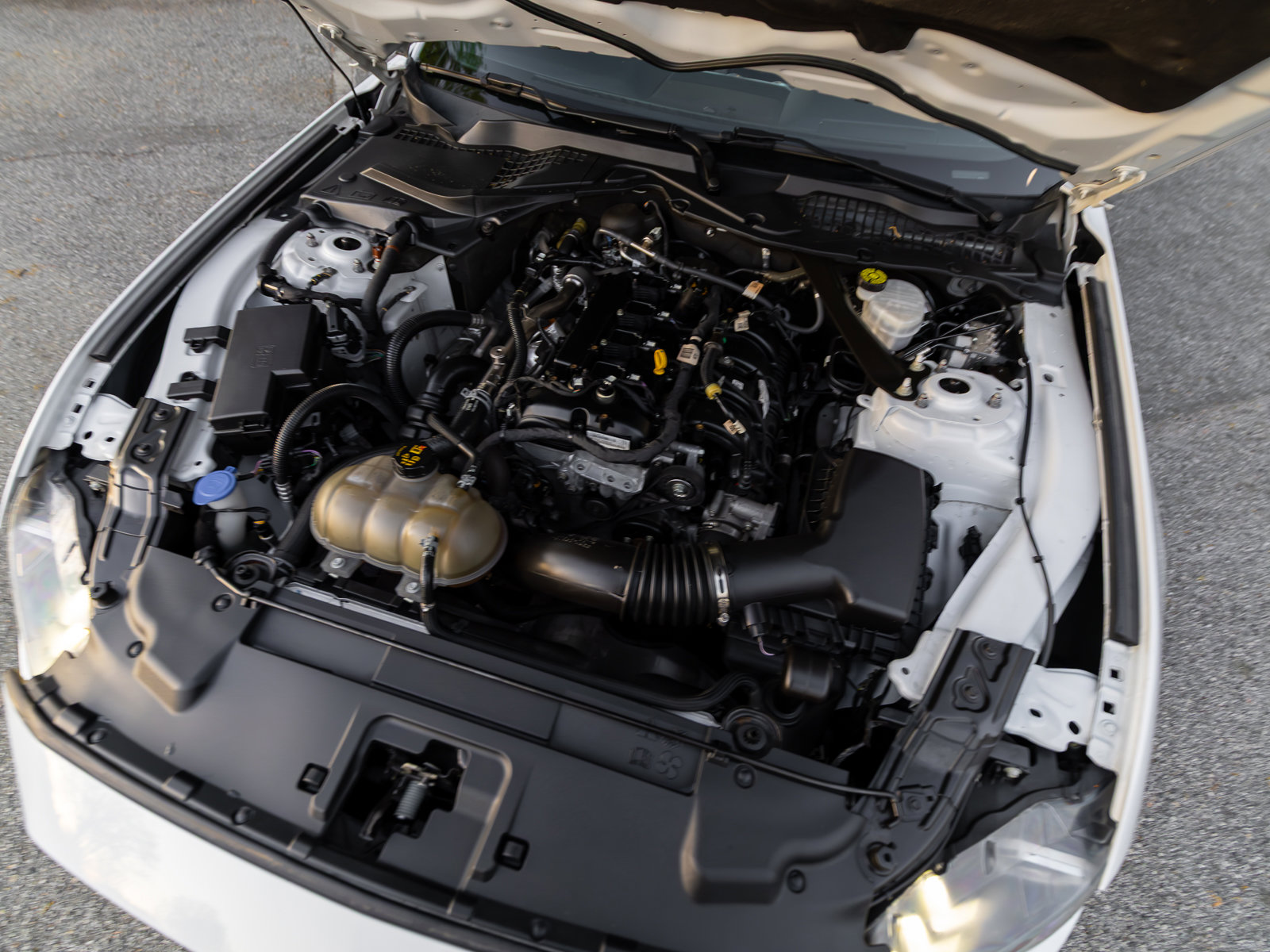 Used 2022 Ford Mustang Premium image 59