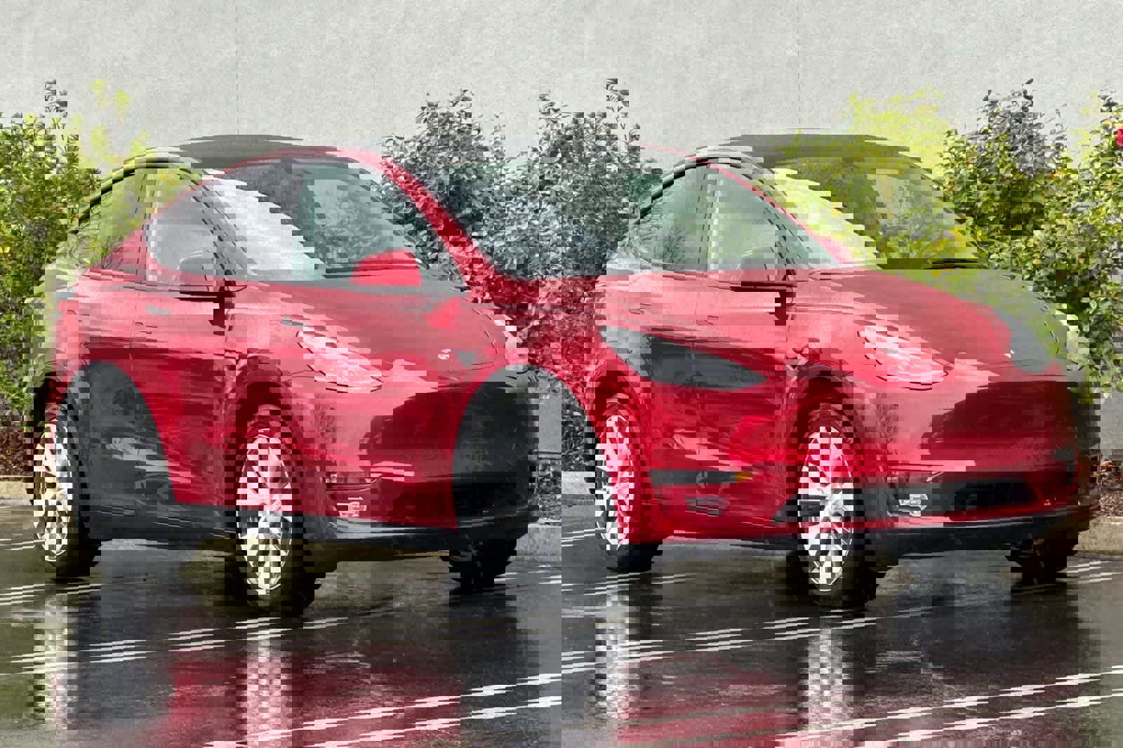 Used 2024 Tesla Model Y Long Range image 5