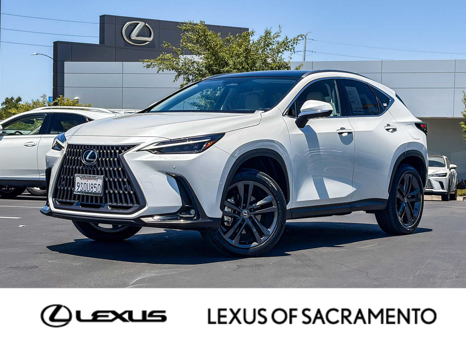 Certified 2025 Lexus NX 450h+ AWD w/ Accessory Package (2T)