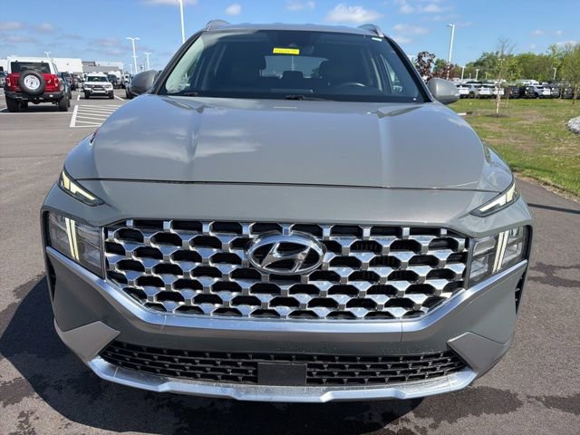 Used 2023 Hyundai Santa Fe Blue AWD/4WD image 3