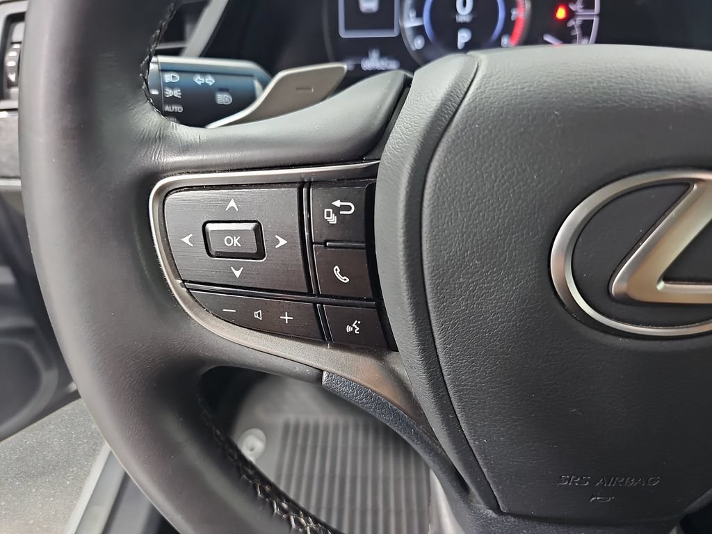 Used 2023 Lexus ES 250 w/ Protection Package (P2) AWD/4WD image 19