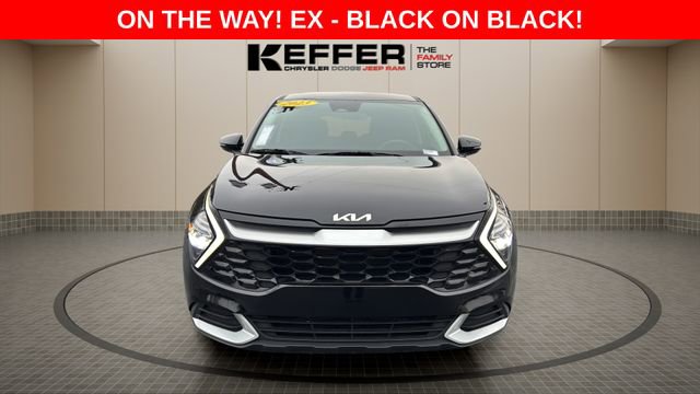 Used 2023 Kia Sportage EX image 7