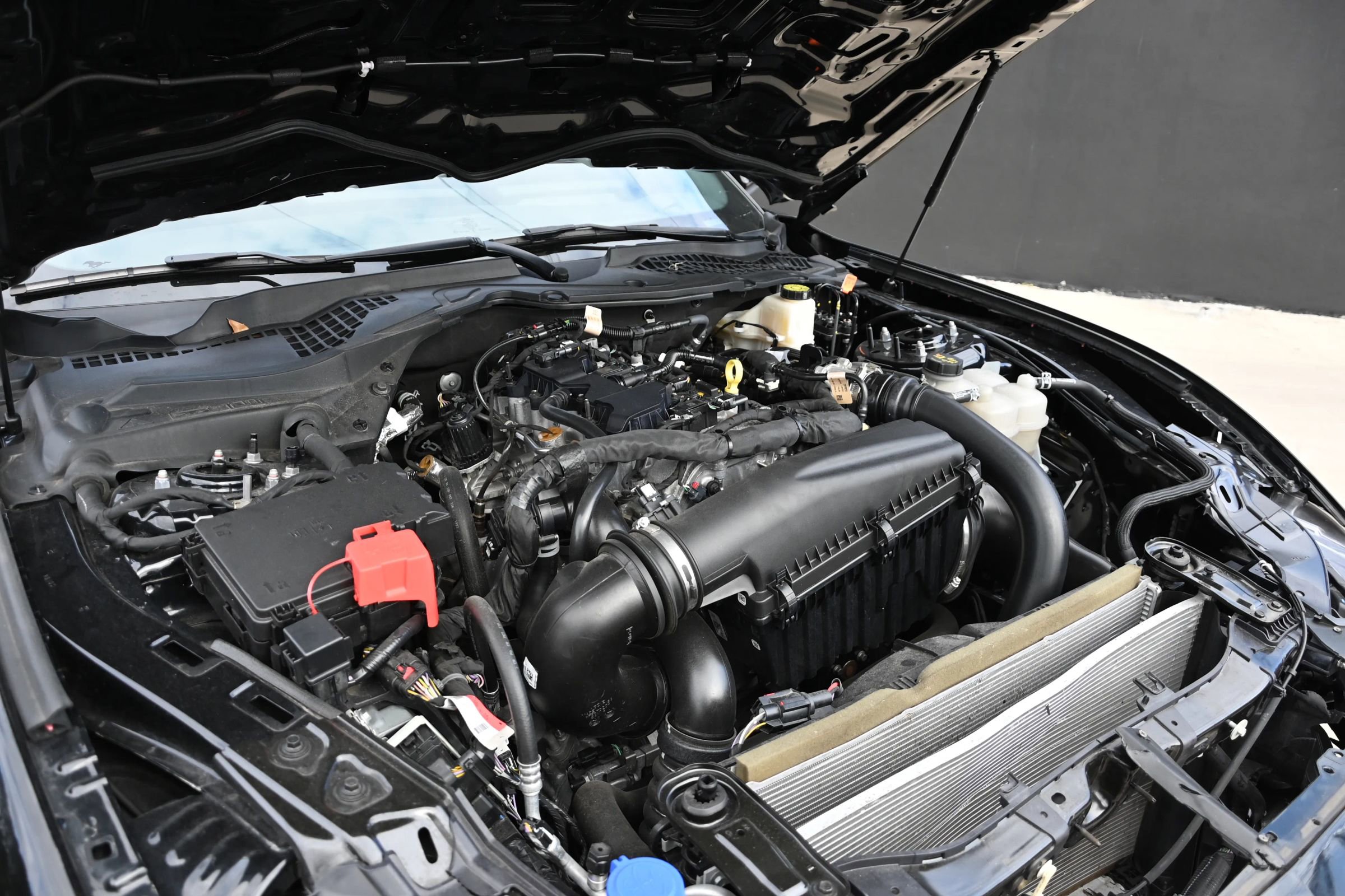 Used 2024 Ford Mustang Coupe image 22