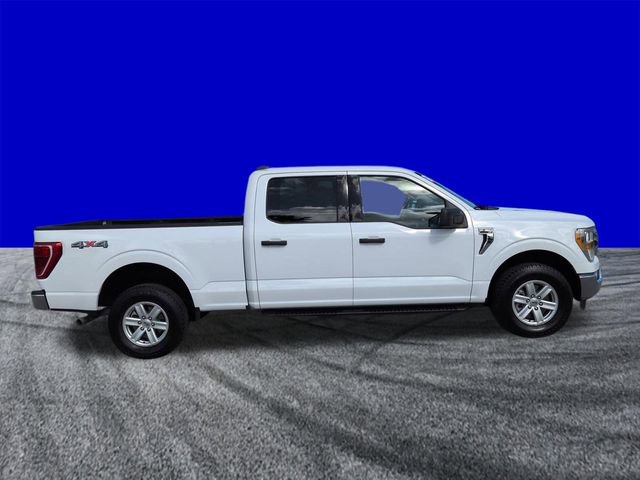 Certified 2022 Ford F150 XLT w/ Equipment Group 301A Mid image 3