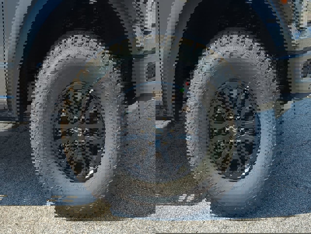 New 2025 Ford F150 Raptor image 9