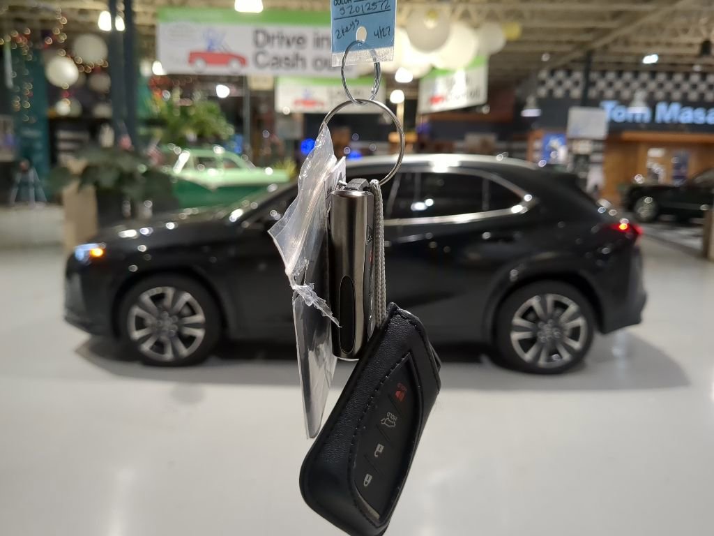 Used 2025 Lexus UX 300h AWD w/ Cold Area Package image 4