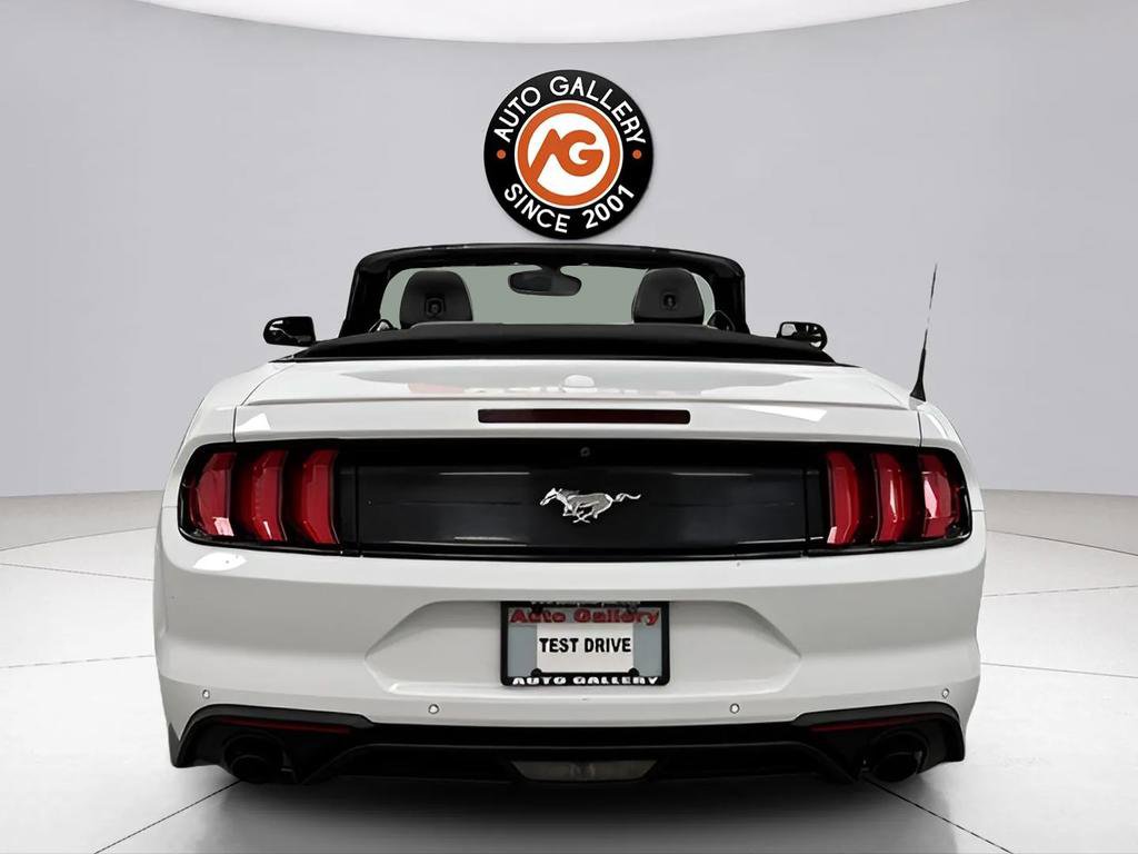 Used 2019 Ford Mustang Premium image 11