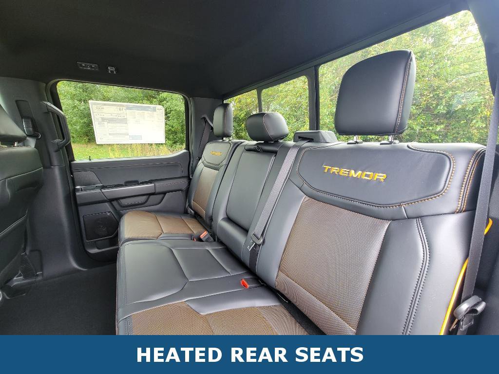 New 2025 Ford F150 Tremor image 28