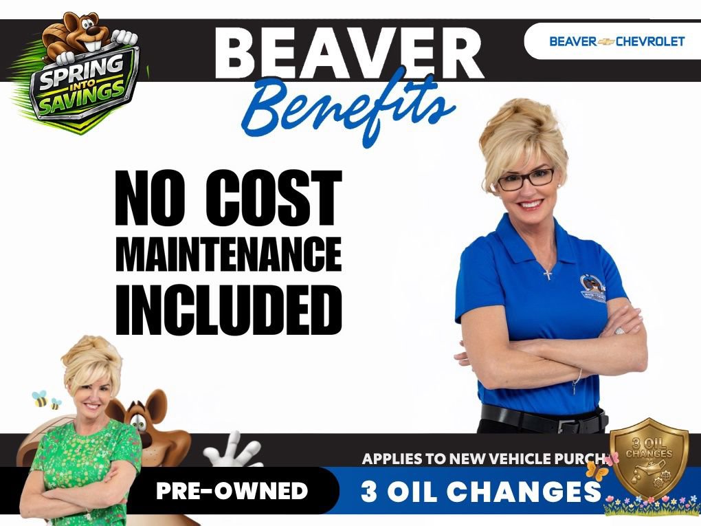 Used 2025 Ford F150 XLT w/ Equipment Group 301A Standard AWD/4WD image 12