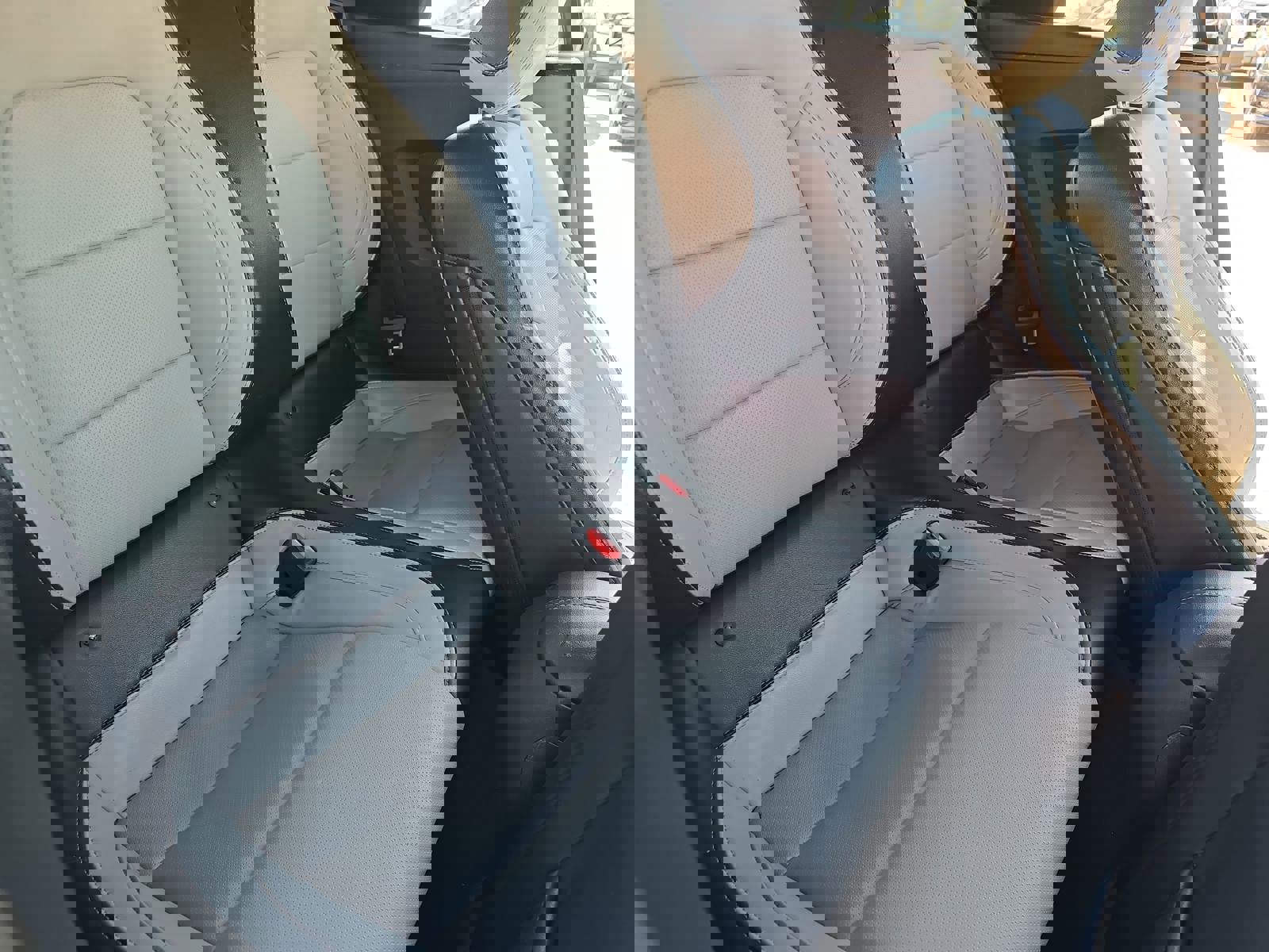 Used 2024 Ford Mustang Premium RWD image 12