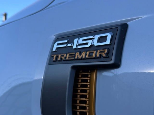 New 2025 Ford F150 Tremor image 18