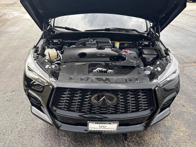 Certified 2023 INFINITI QX50 Sport w/ Cargo Package image 21
