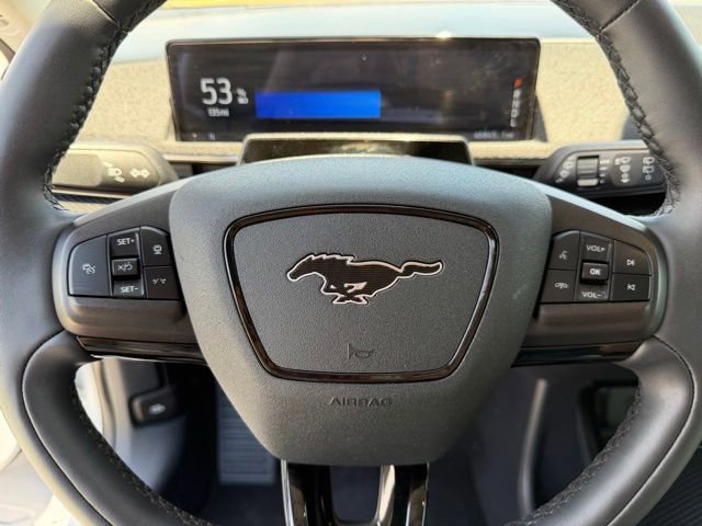 Used 2023 Ford Mustang Mach-E Premium RWD image 14