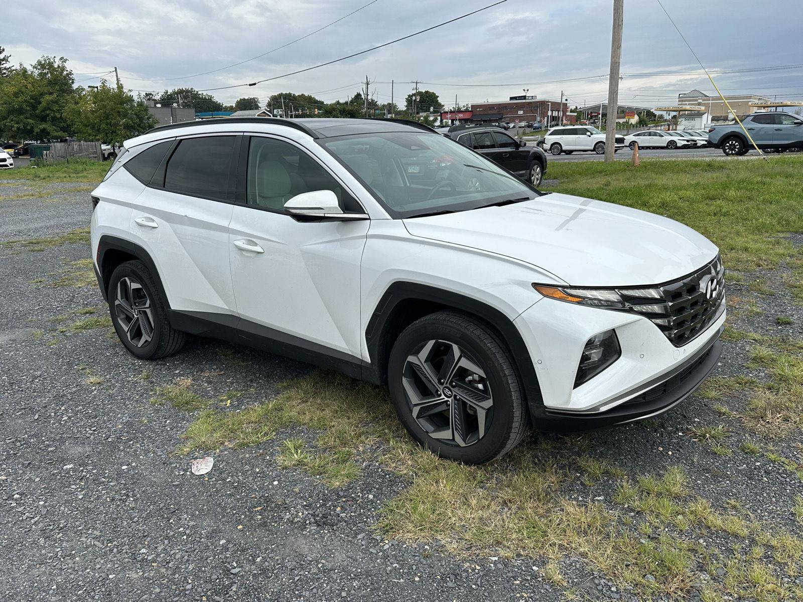 Certified 2024 Hyundai Tucson Limited AWD/4WD image 2