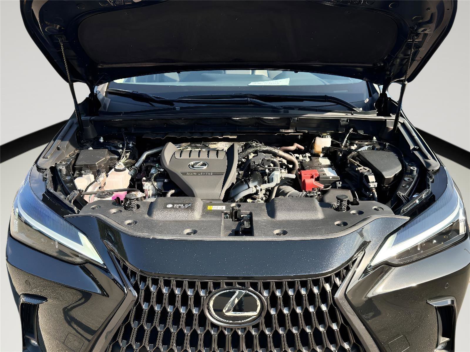 Used 2023 Lexus NX 350 AWD image 25