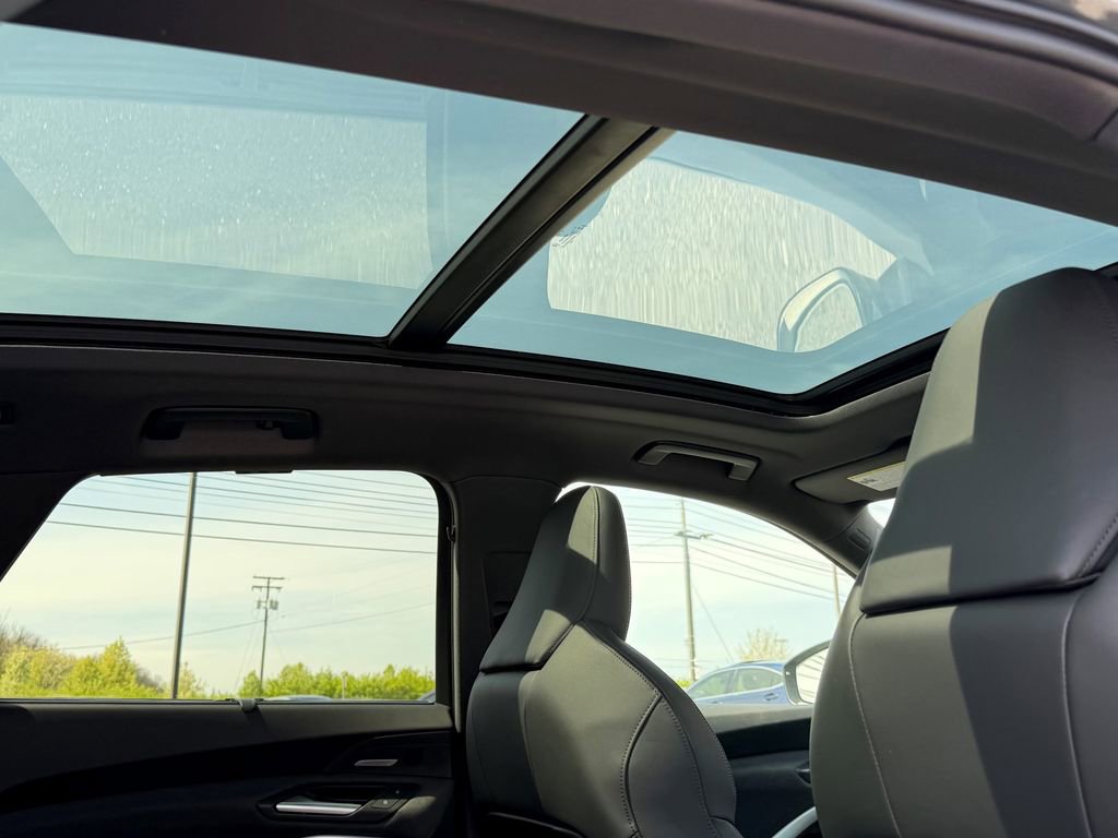 New 2026 Audi SQ5 Premium Plus image 14