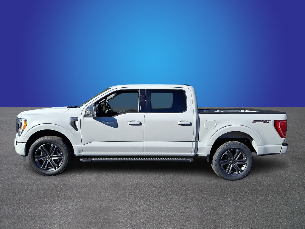 Used 2023 Ford F150 XLT w/ Equipment Group 302A High AWD/4WD image 7