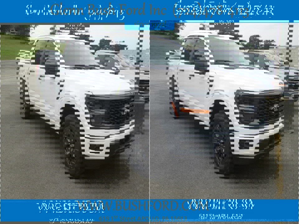 New 2025 Ford F150 STX image 1