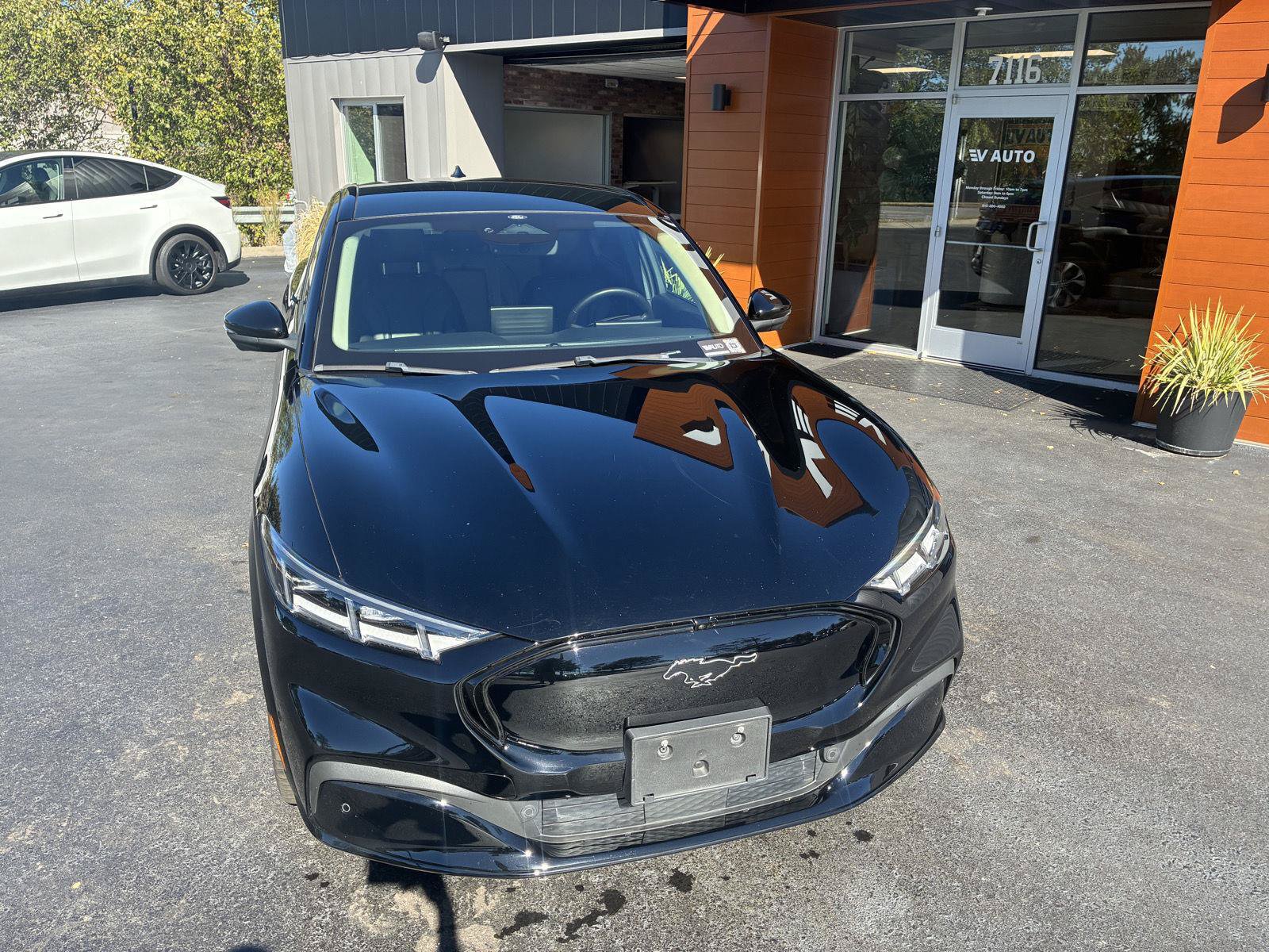 Used 2021 Ford Mustang Mach-E Premium RWD image 3