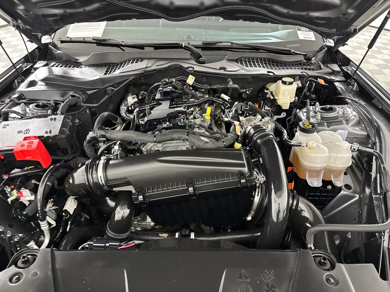 Used 2025 Ford Mustang Premium RWD image 30