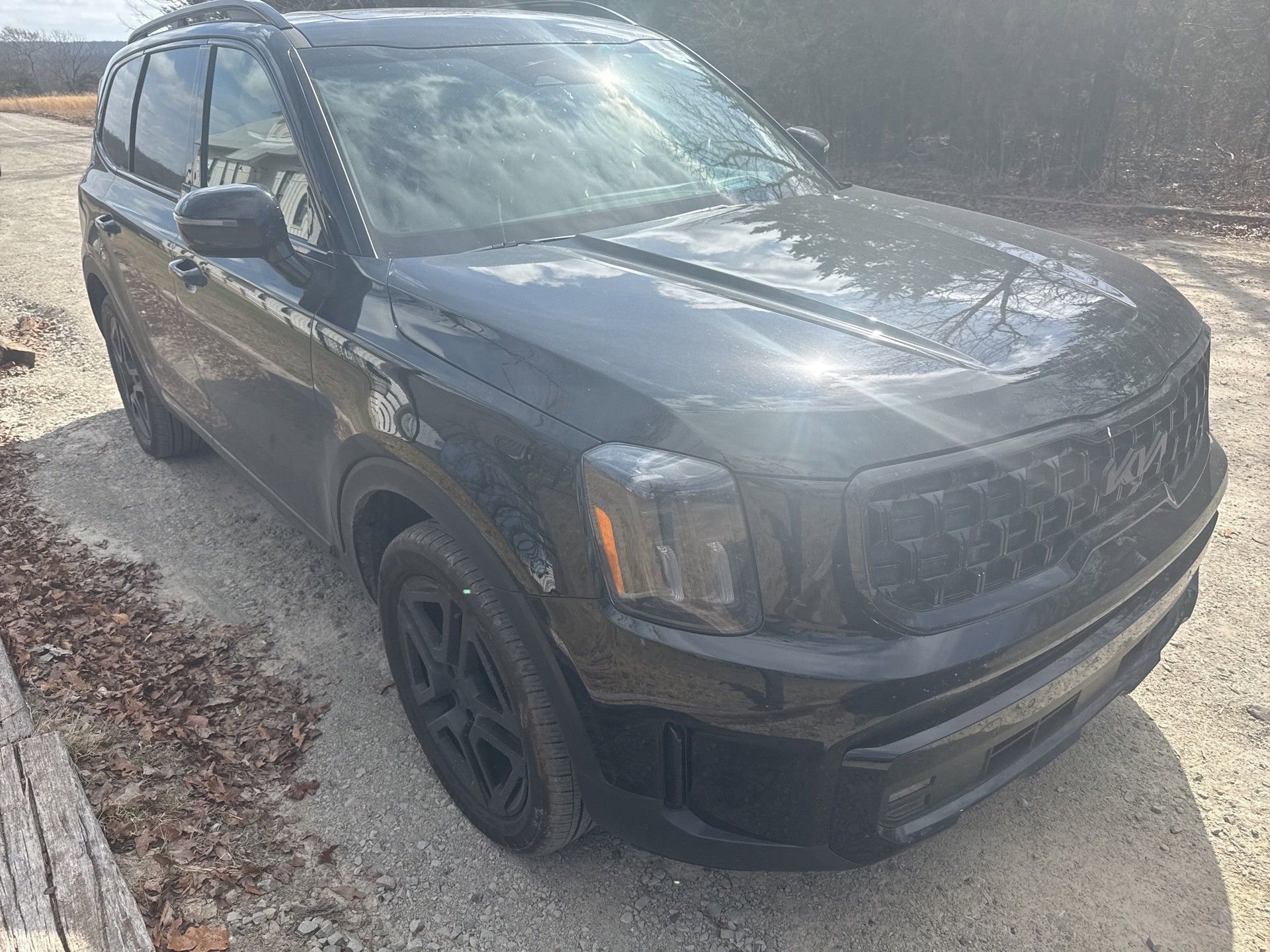 Used 2025 Kia Telluride SX Prestige X-Line image 2
